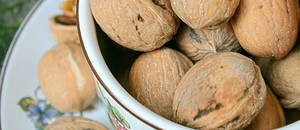 #Nocino #recipe: the liqueur made from #walnuts
