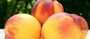 #Peach #preserves #recipe: so simple!