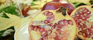 The #pomegranate: properties and benefits