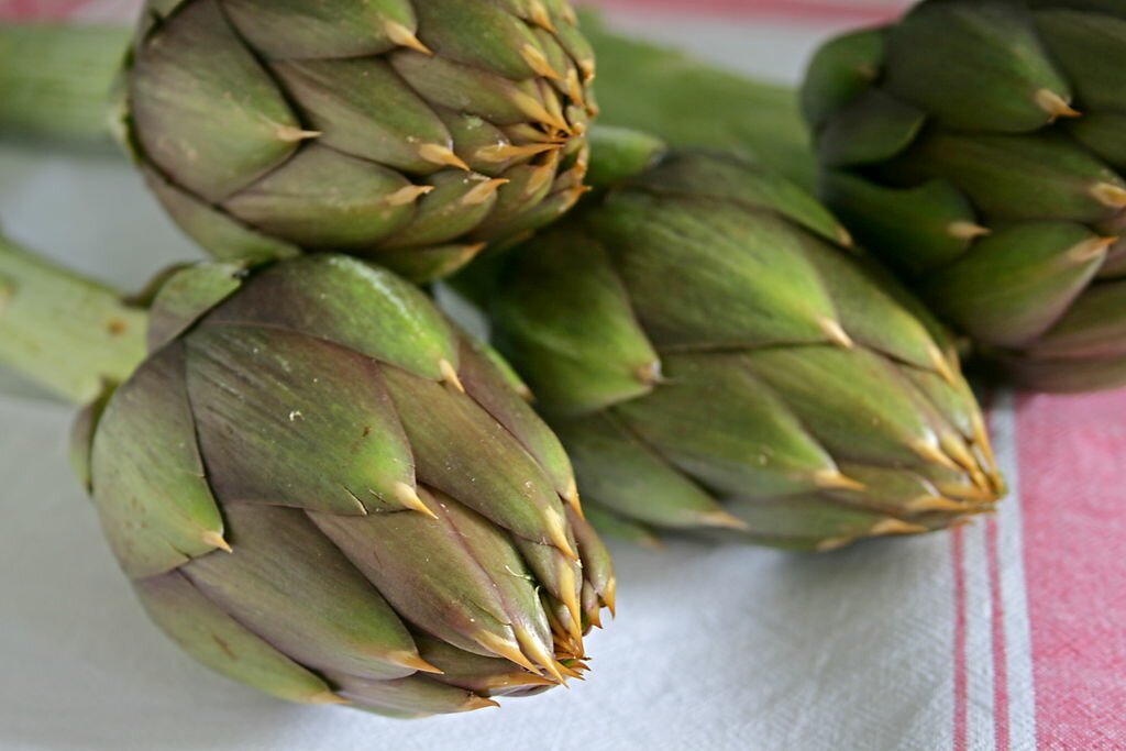 Artichokes