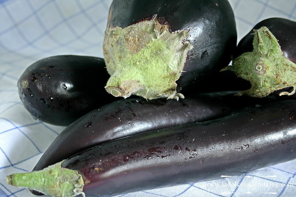 Eggplant