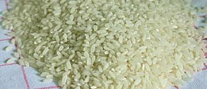 #Rice: a Graminae plant very famous for its seeds