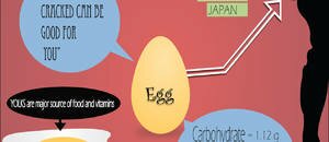 Egg (#infographic)