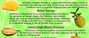 The Jackfruit (#infographic)