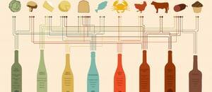 Wine Pairing Chart (#infographic)