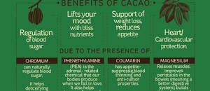 Raw Cacao (#infographic)