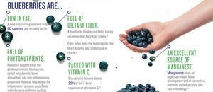 Blueberries: A Handful of Health (#infographic)