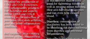 Raspberries and Blackberries (#infographic)