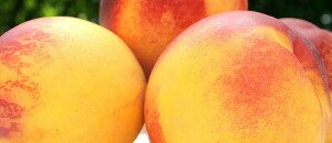 Collebeato peach: a special fruit from Brescia!