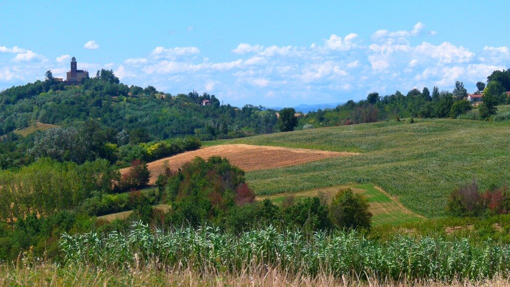 Colline del Monferrato
