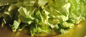 Roman Scarola green lettuce salad recipe