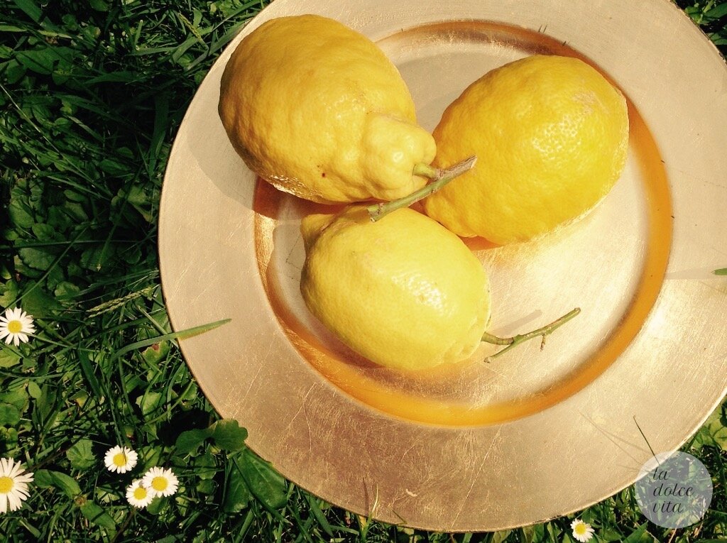 Lemons in the grass.