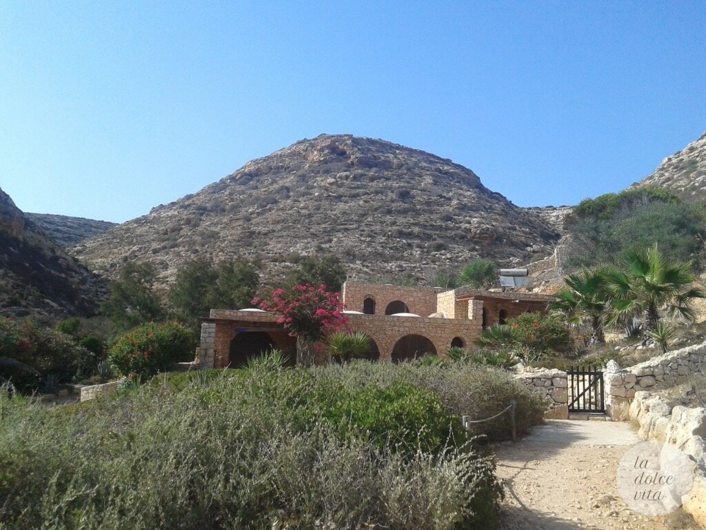 Isle of Lampedusa, a jewel in the Mediterranean sea 5